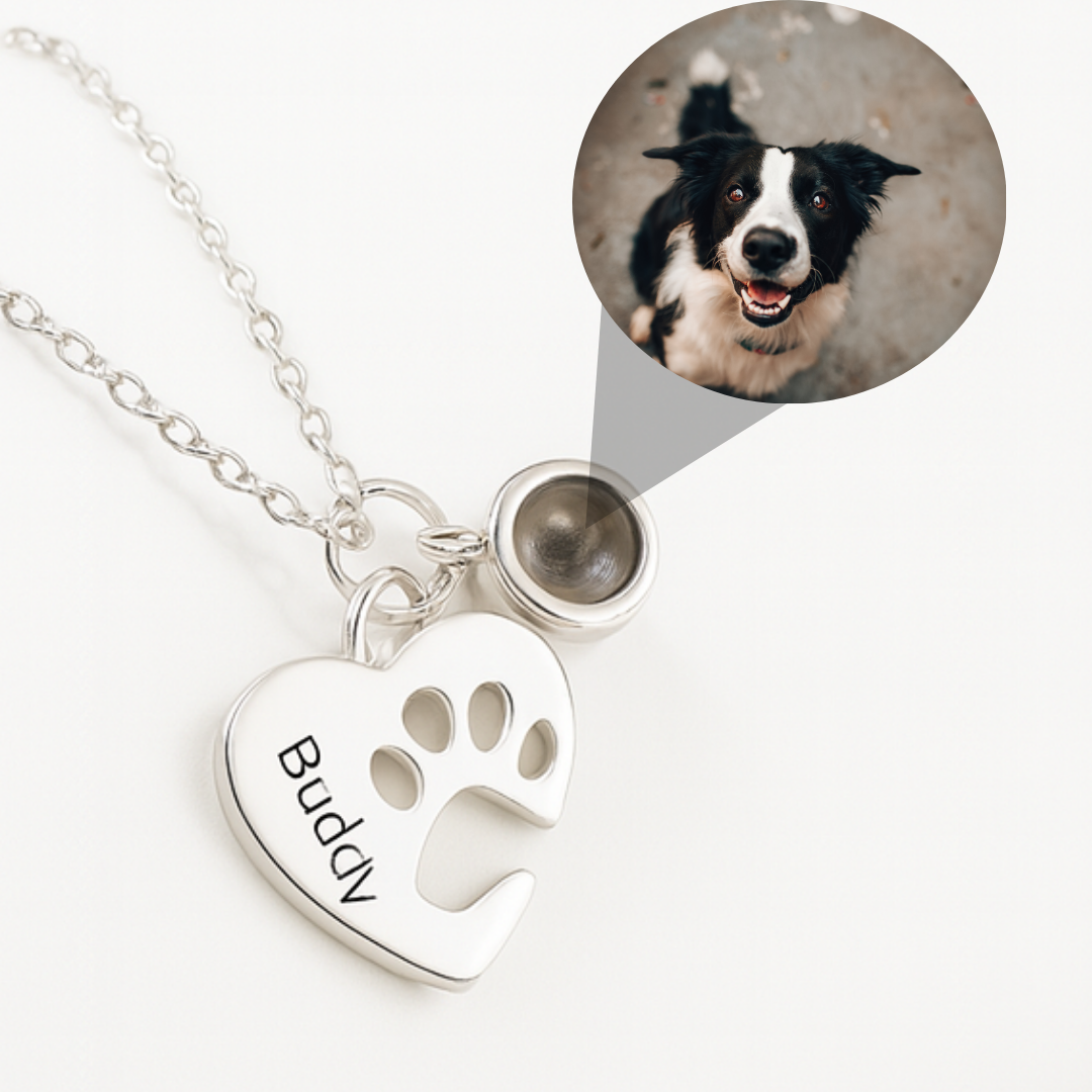 Remember™ Collana con Zampa personalizzata con foto e incisione | Acciaio Inossidabile